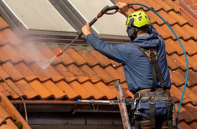 Démoussage et hydrofuge de toiture à Guerlédan